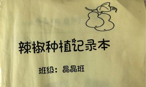 辣椒是一年生还是多年生植物（解析辣椒的生长周期及其“生长周期”）