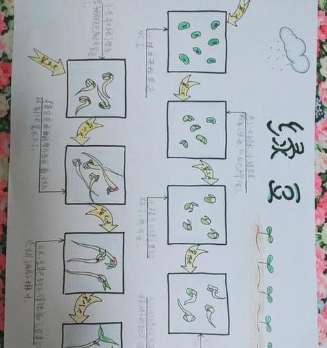 鸭掌木种植的土壤选择与配比方法（打造理想的鸭掌木栽培土壤）