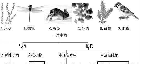 鸭跖草和鸭舌草的区别与特点（探究鸭跖草和鸭舌草的形态）