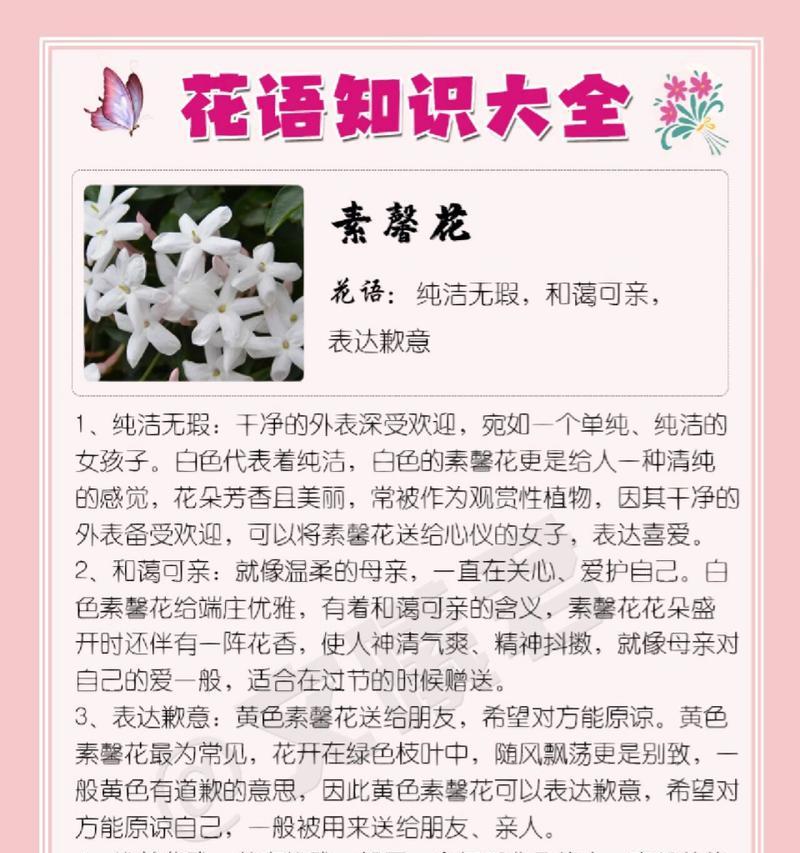 红枫花语的含义与传承（揭示红枫的花语与意义）