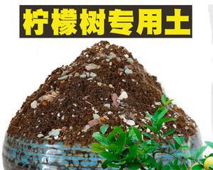 柠檬肥料的神奇妙用（利用柠檬皮、果肉做成有机肥）