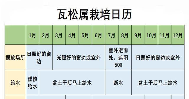 吉普赛满天星的种植技巧与注意事项（打造绚丽多彩的花园）