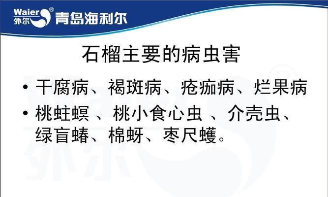 牛油果炭疽病的预防与治疗（探究牛油果炭疽病的发病原因及有效的治疗方法）