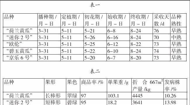 黄瓜种植的最佳时间和步骤是什么？常见问题有哪些解决方法？