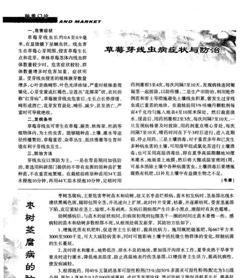 黄花菜病虫害防治技术有哪些？如何有效实施防治措施？