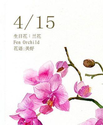 什么花的花语代表表白？如何用花表达爱意？