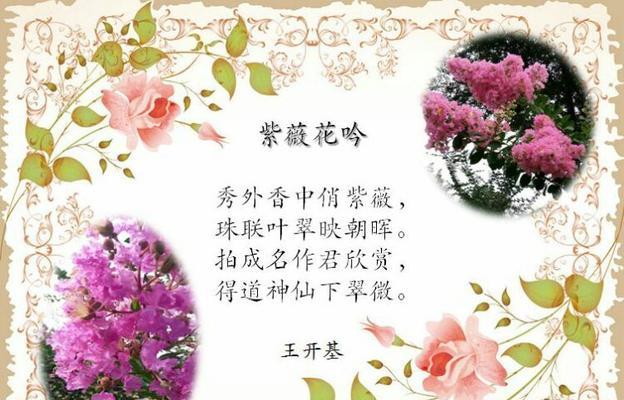 什么花象征着前程似锦？花语中有哪些预示美好未来的花卉？