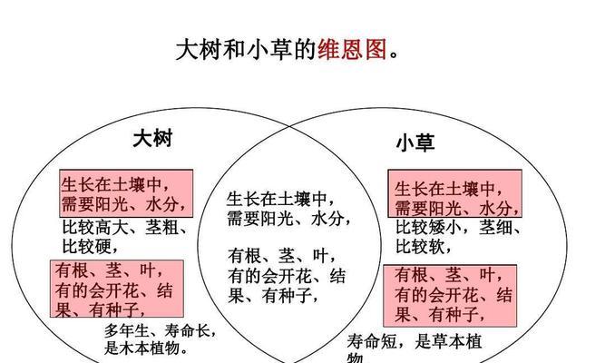 黄秋葵怎么种？最佳种植时间是什么时候？