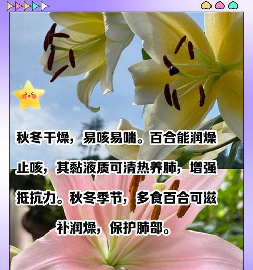 幽谷百合拒绝连赞有何含义？这种行为背后的含义是什么？