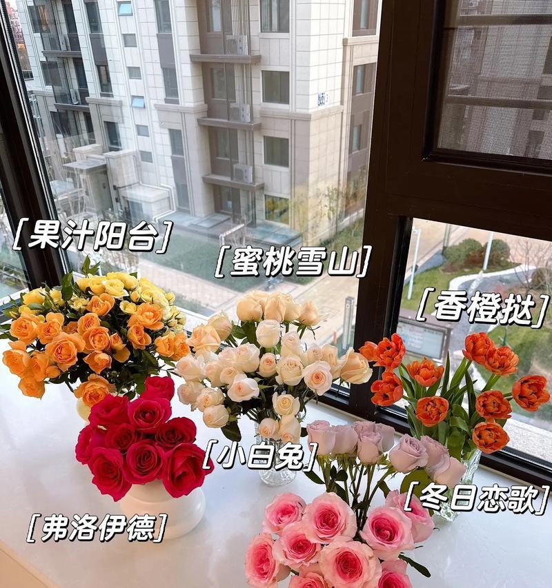 过屋送什么花卉比较好呢？送花卉的寓意是什么？