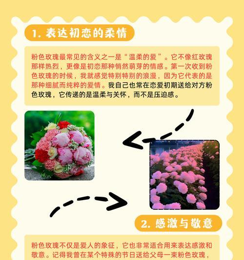 王者玫瑰花象征着什么？王者玫瑰花的寓意是什么？