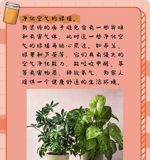 公司乔迁时送什么植物合适？有哪些寓意？