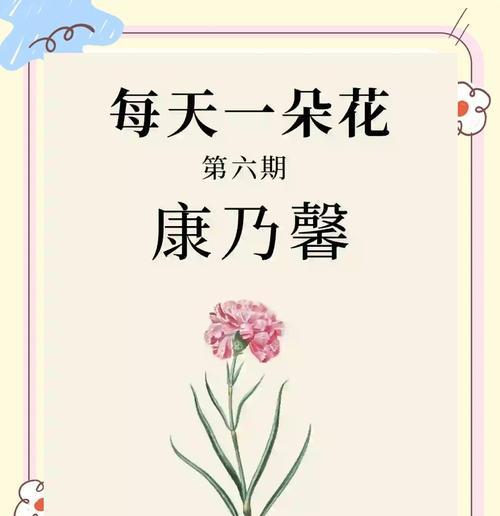 送对象康乃馨花语是什么？康乃馨的象征意义是什么？