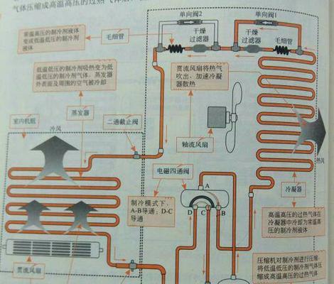 可以制冷的盆栽植物有什么？它们的工作原理是什么？