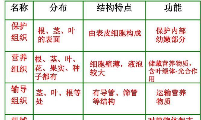 植物是由什么组成部分？它们的基本结构有哪些？