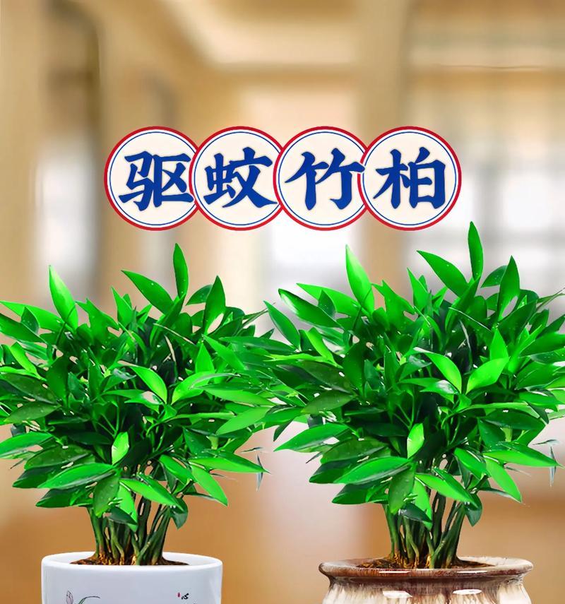 哪些植物具有天然驱蚊效果？它们的驱蚊原理是什么？