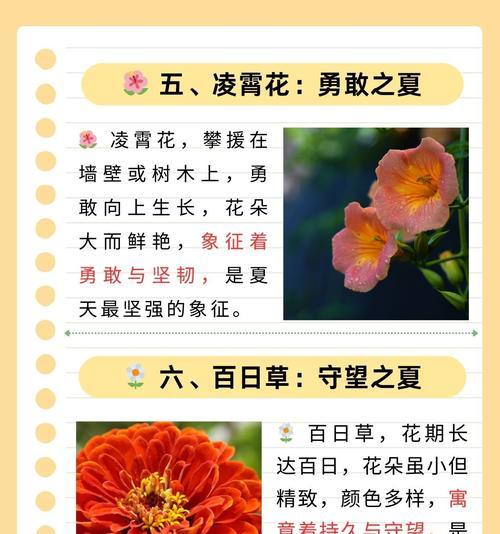 夏天常见的植物有哪些？它们各自有什么特点？