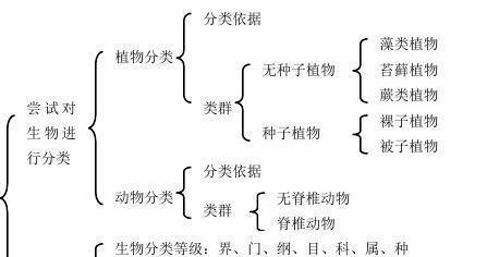 植物分类应该如何编写？有哪些分类方法？