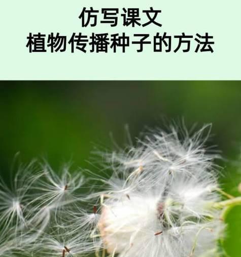 植物怎么传播种子？自然界的种子传播方式有哪些？