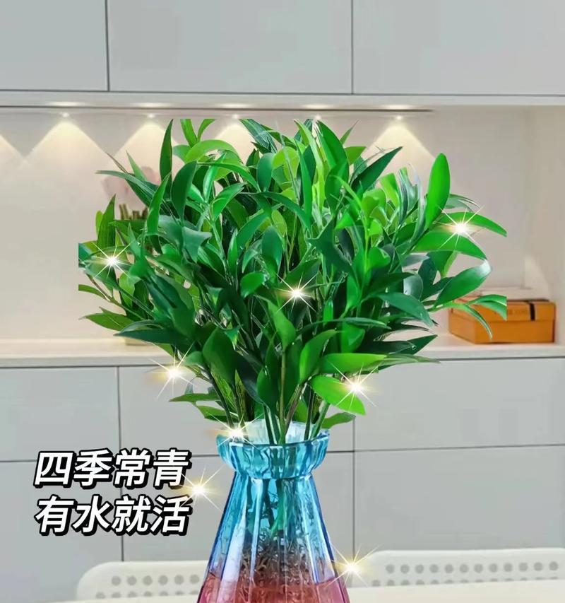 哪些家养盆栽植物具有驱蚊效果？