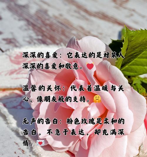 玫瑰是玫瑰花送给你什么意思？这句话背后的深层含义是什么？