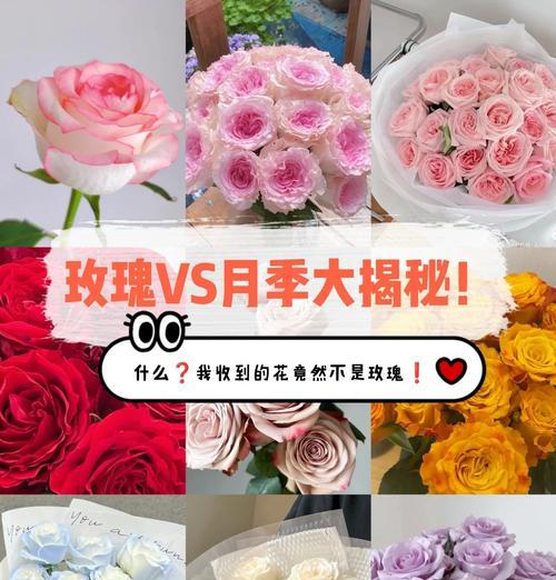 玫瑰花的数量代表什么含义？多少朵玫瑰花代表什么意思？