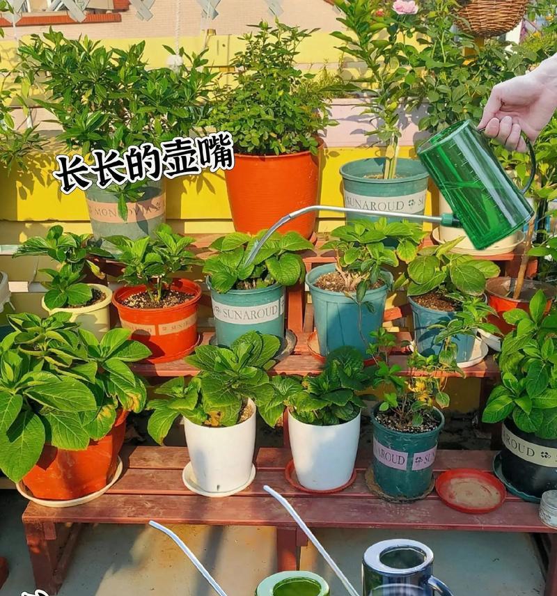 植物2什么神器好？有哪些工具可以提高种植效率？