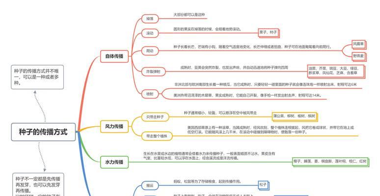 风力传播的植物有哪些？它们的传播机制是什么？