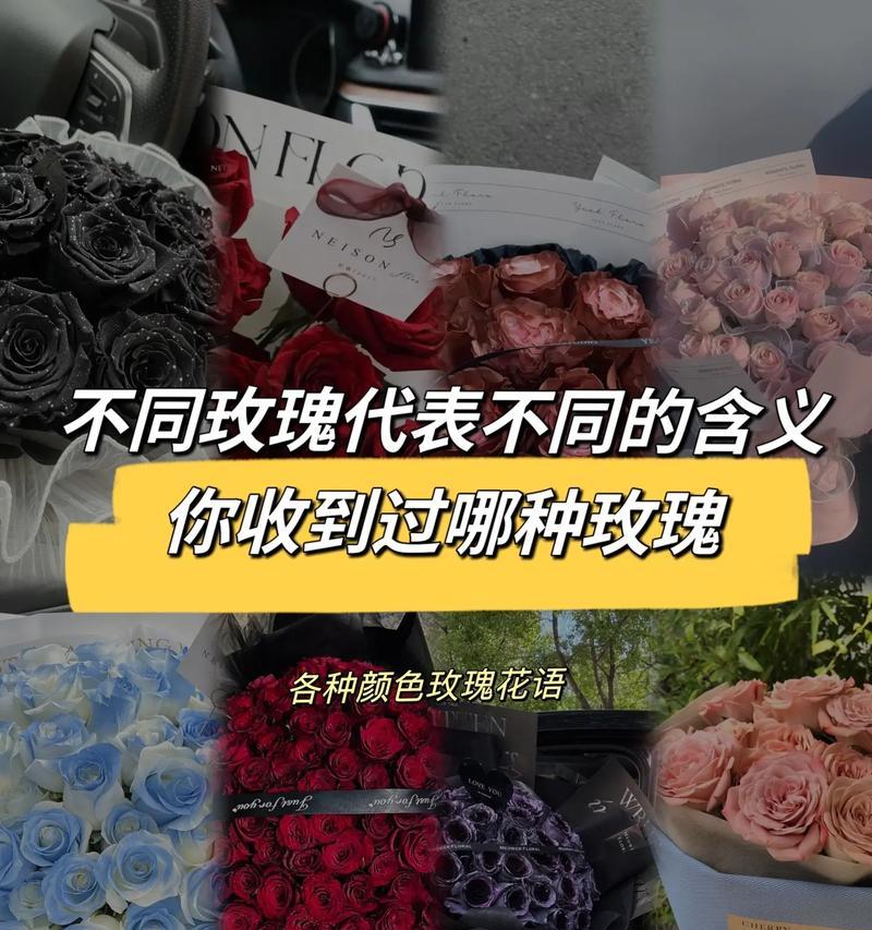 哪种玫瑰花寓意好？适合送给朋友的有哪些？