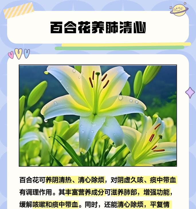 过年送百合花有何寓意？送百合花给女方家的含义是什么？