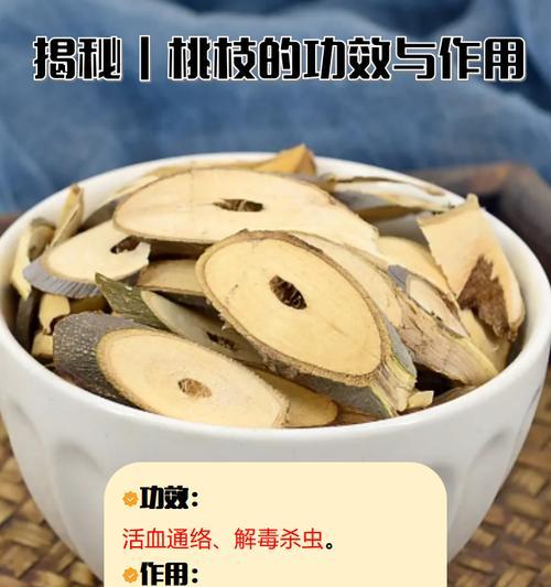 哪些植物具有止血的功效？它们的使用方法是什么？